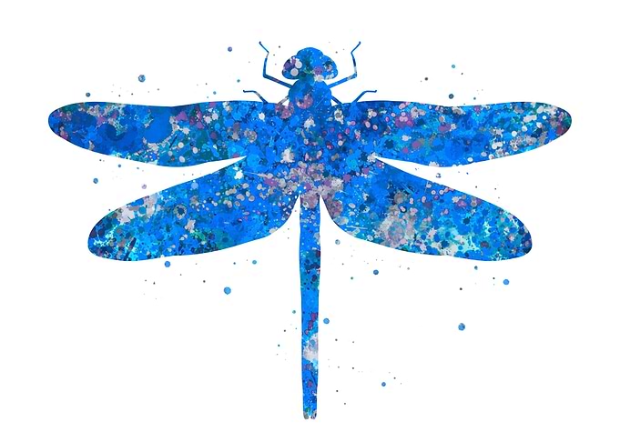 Dragonfly blue