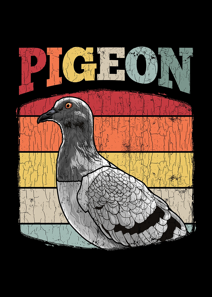 Retro Pigeon Lover Present
