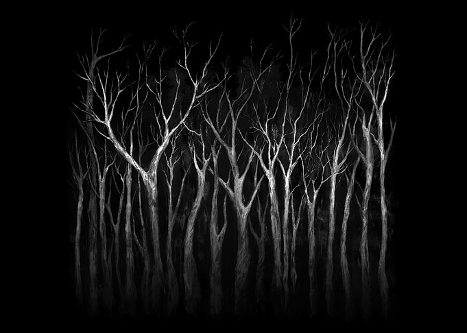 Dark Woods