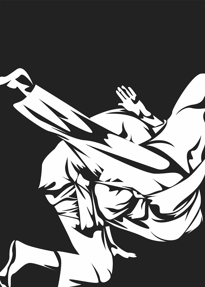 martialart fight