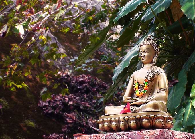 Buddha meditating