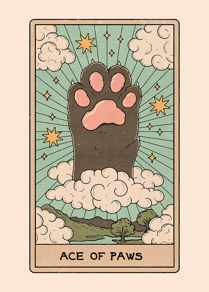 Ace of Paws