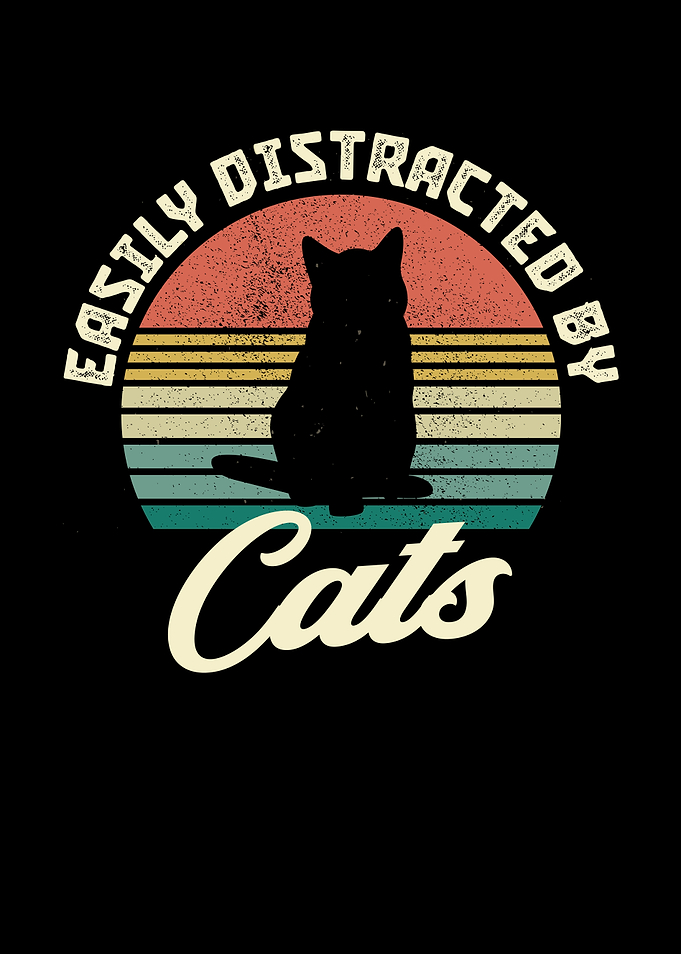 Cats Distraction Funny