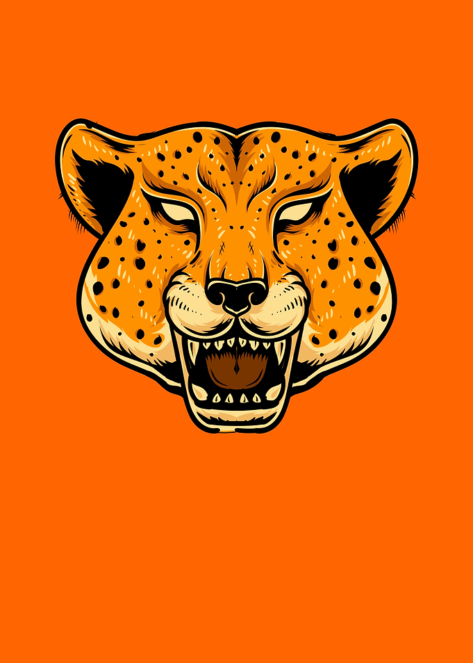 Cheetah Big Cat Wildlife