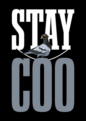 Stay Coo Pigeon Lover Pres