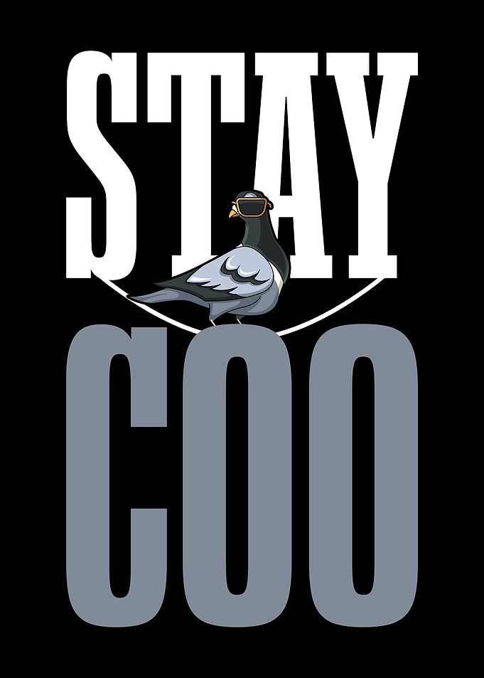 Stay Coo Pigeon Lover Pres