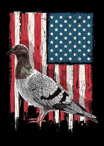 Patriotic Pigeon Lover Pre