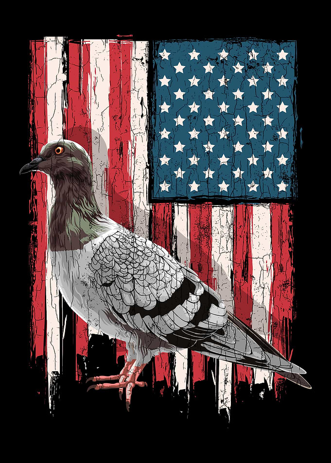 Patriotic Pigeon Lover Pre