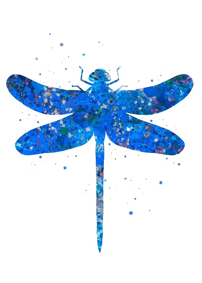 Dragonfly blue art