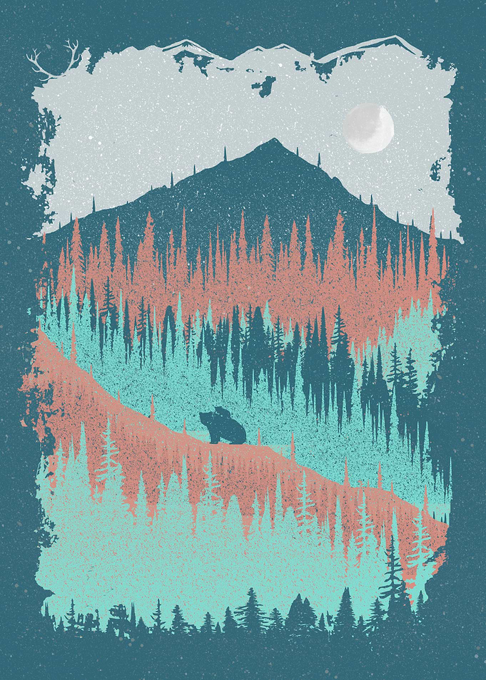 Mountains Bear