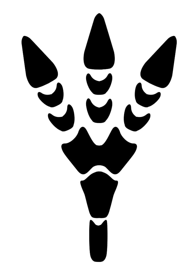 Dinosaur Footprint