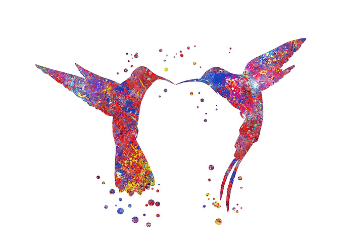 Hummingbird kissing