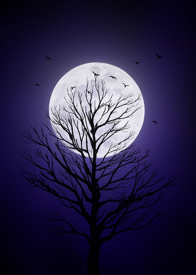 moon night