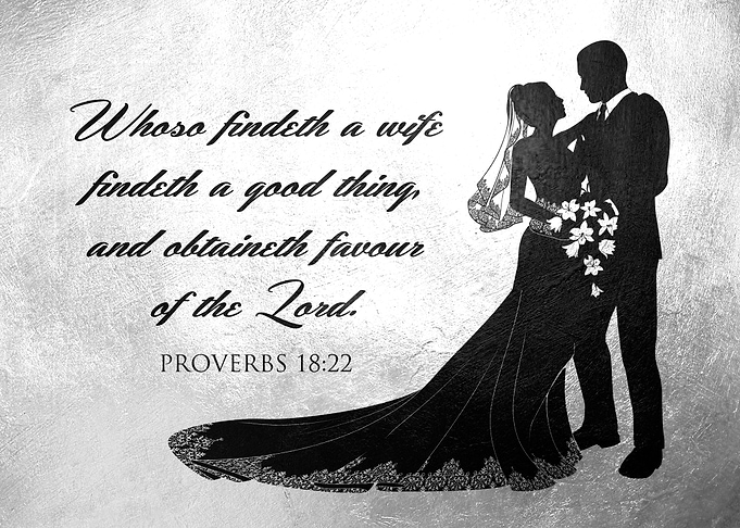 Proverbs 18 22