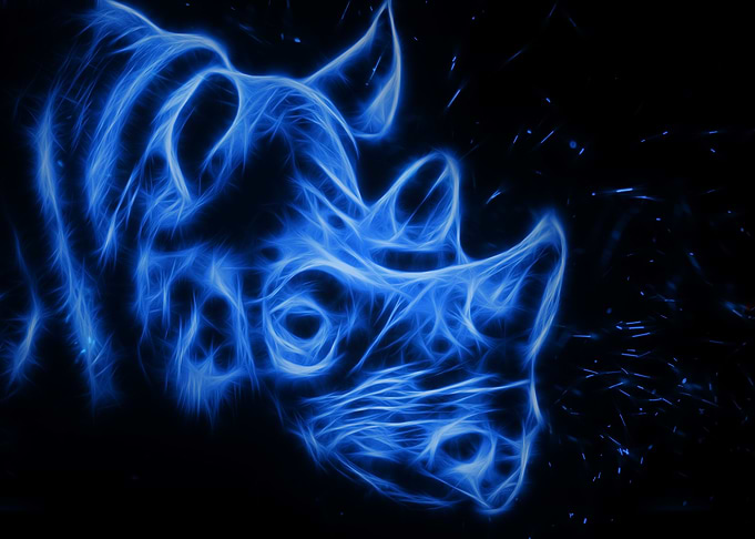 Rhinoceros