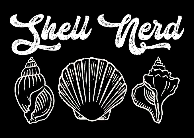 Seashell Collector Sea