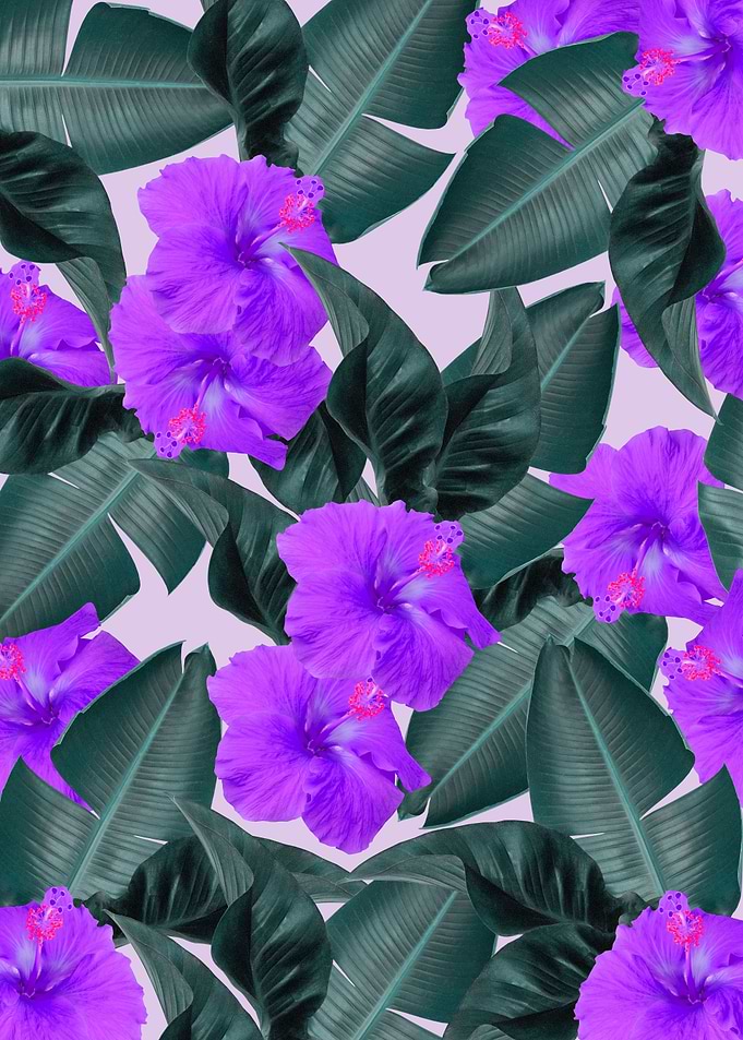 Hibiscus Jungle Leaves 2
