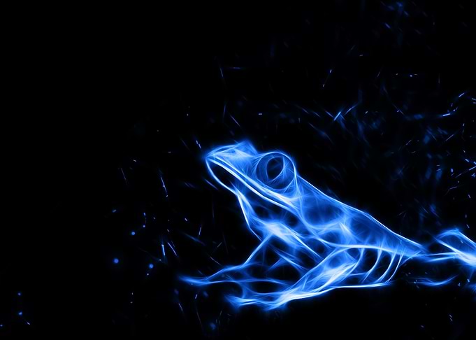 Frog