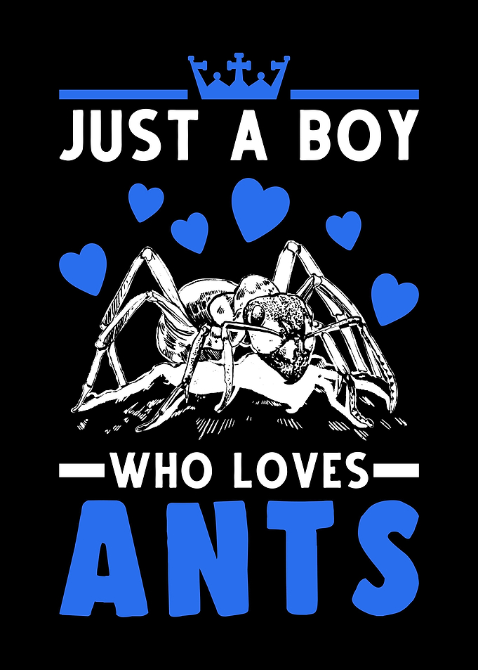 Ants Boy Ant Farm Anthill