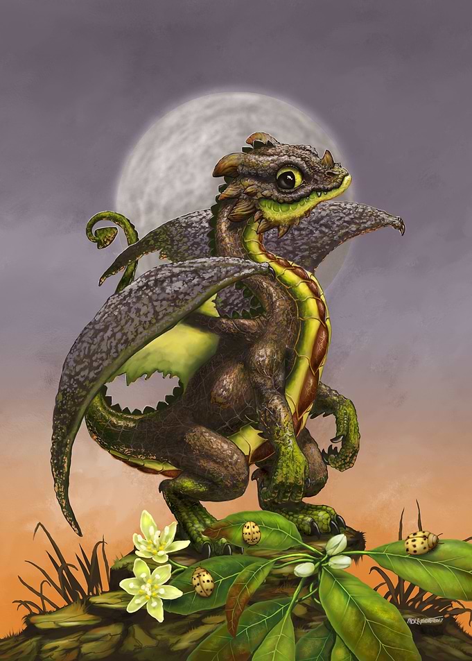 Avocado Dragon
