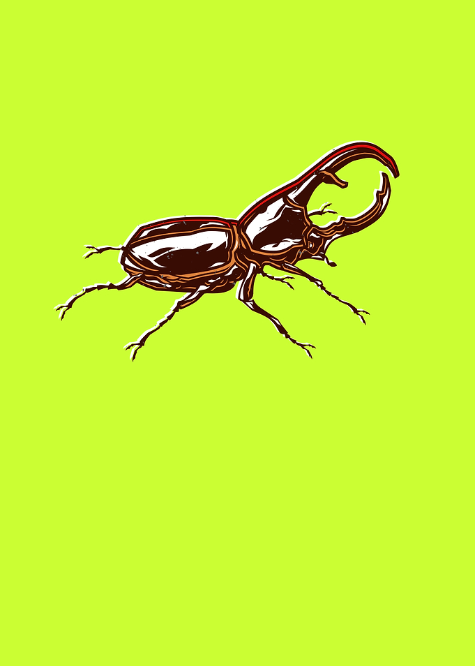 European Stag Beetle