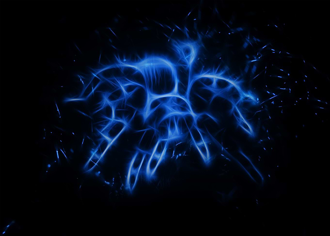 Spider