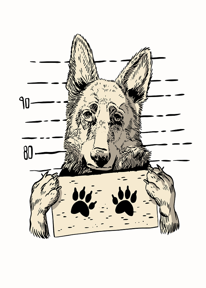 CUTE DOG SHEPHERD MUGSHOT