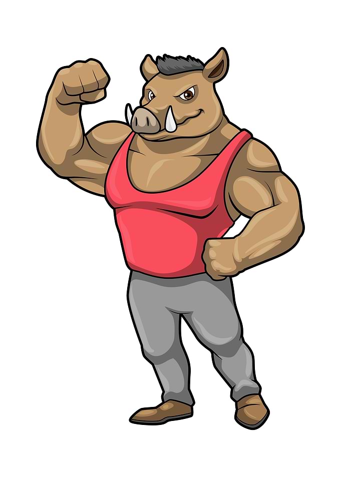 Boar Bodybuilding Muscles