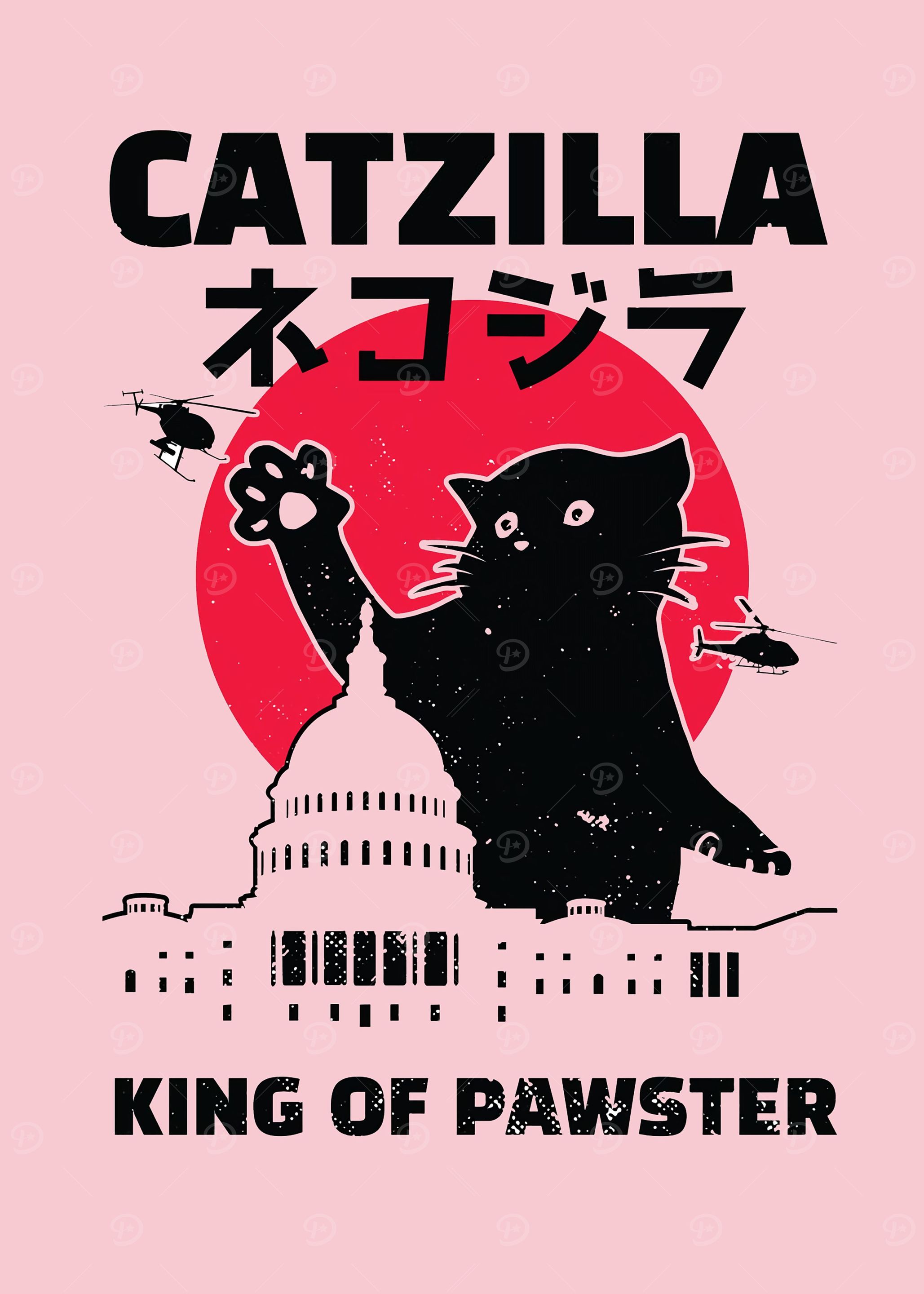 Black cat