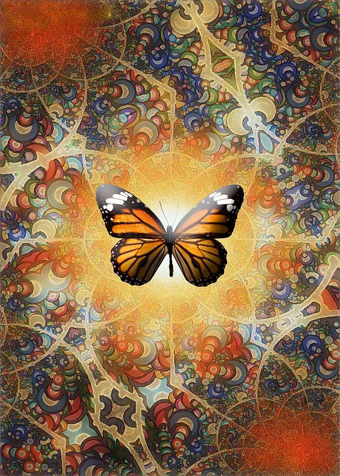 The Butterfly Effect