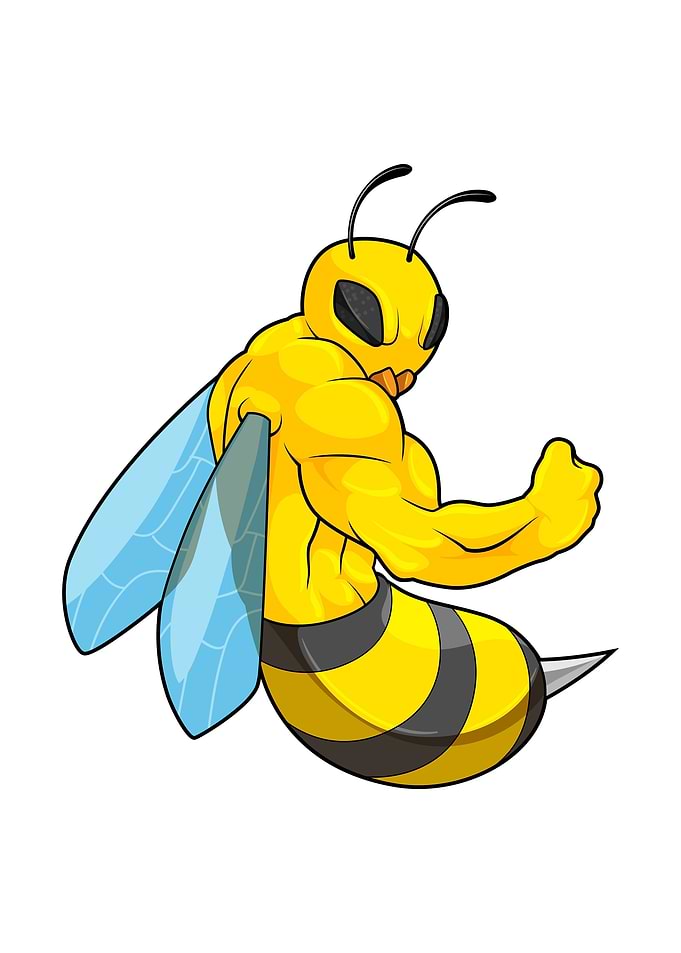Bee Bodybuilding Sports