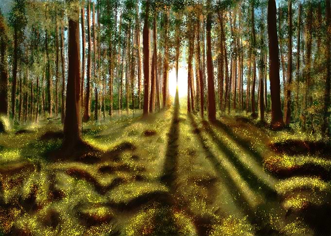forest