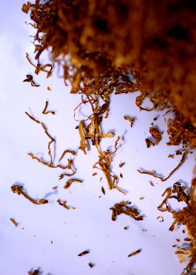 Tobacco rolling leaves