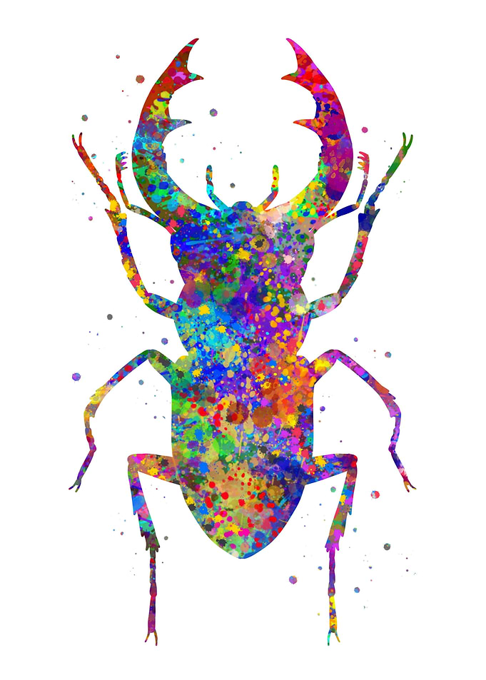 Beetle watercolor