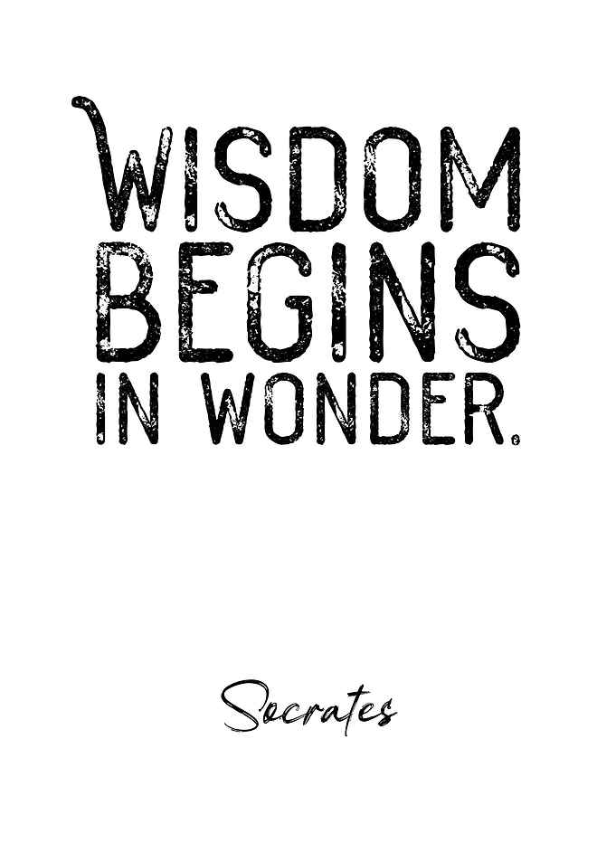 Socrates Quote 6