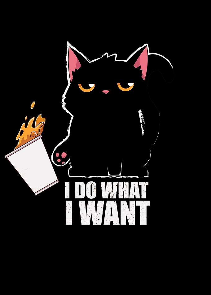 Black cat