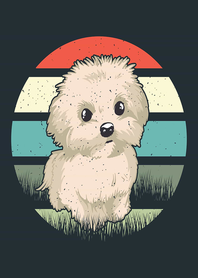 CUTE DOG MALTESE
