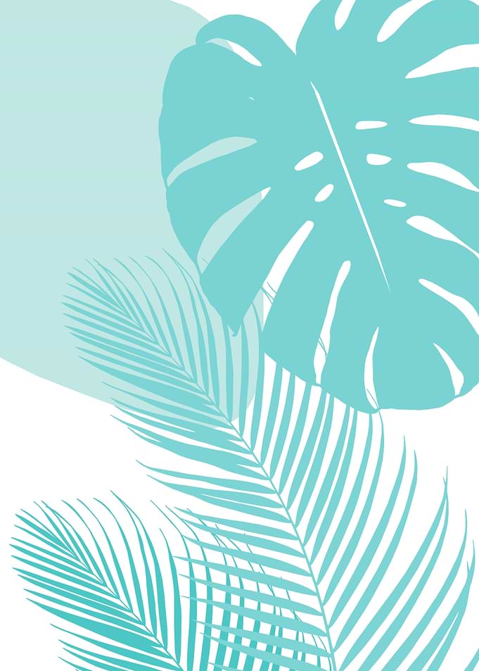Minimal Monstera Palm 10a