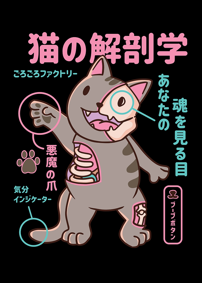 Cat anatomy