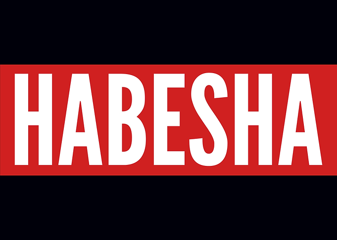 Habesha T Shirt Ethiopia E