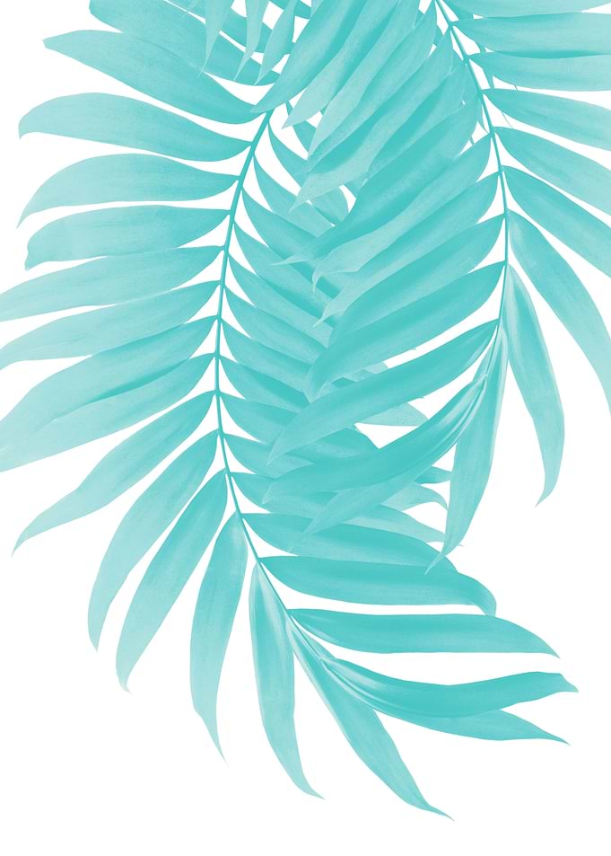 Palm Leaves Soft Turquoise