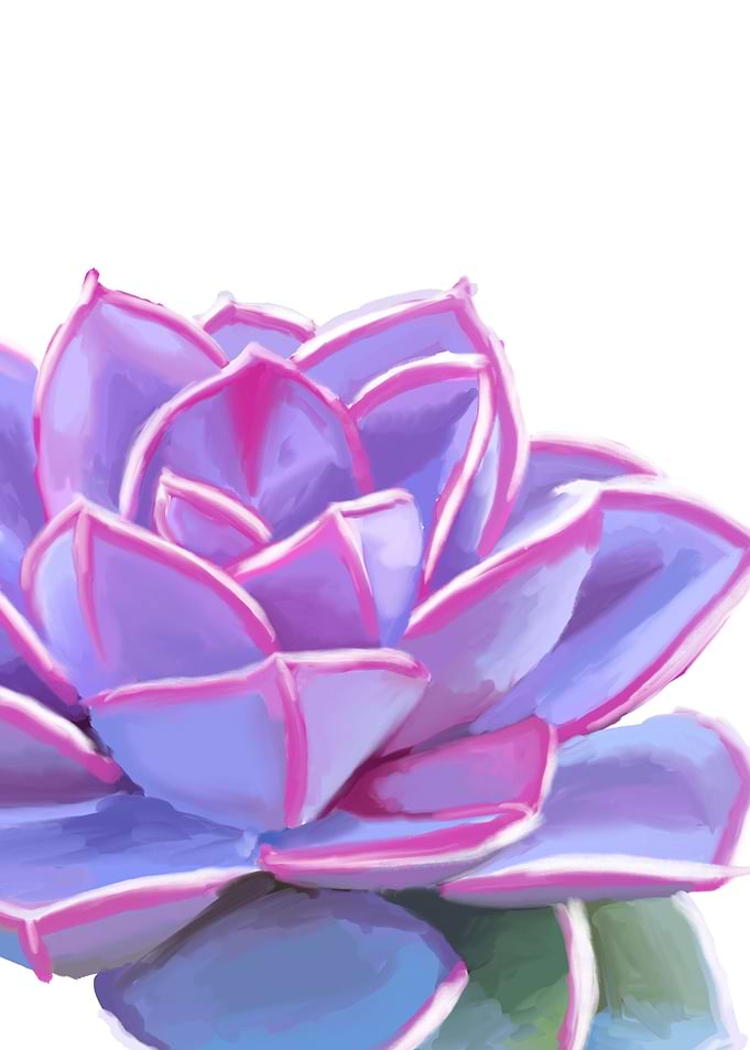 succulent