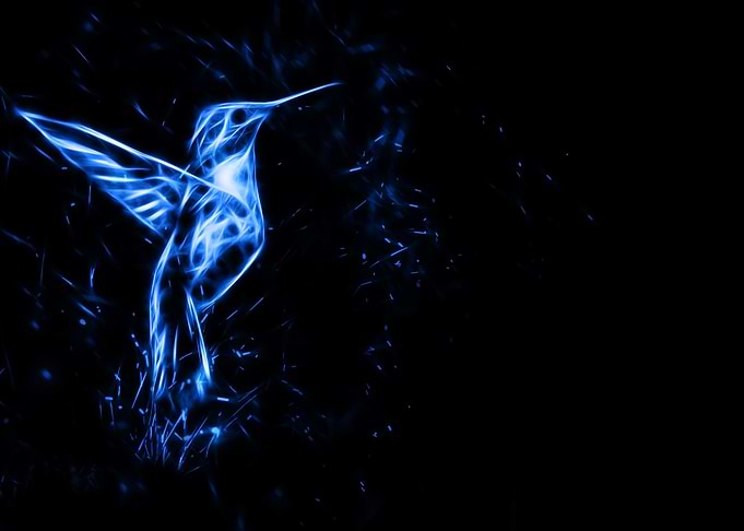 Hummingbird