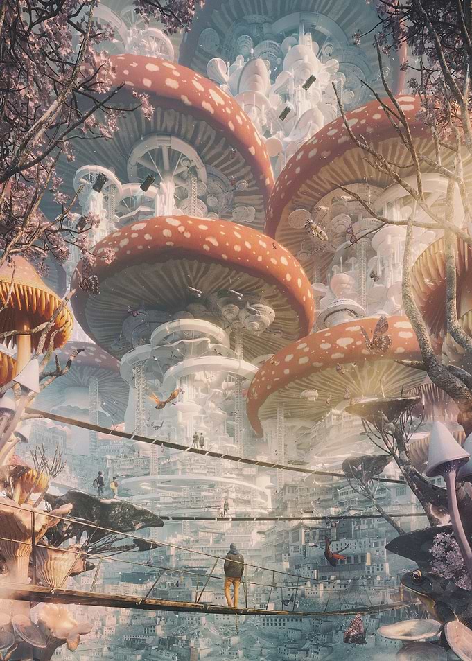Shroom cities
