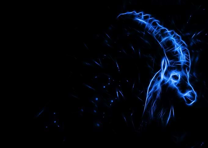 Ibex