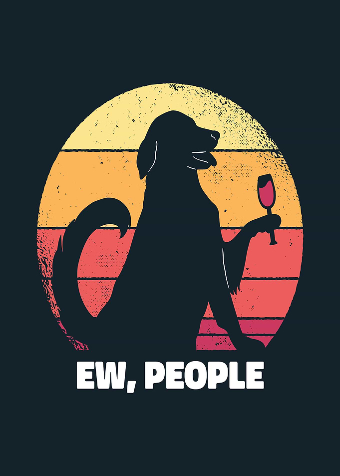 CUTE DOG SUNSET