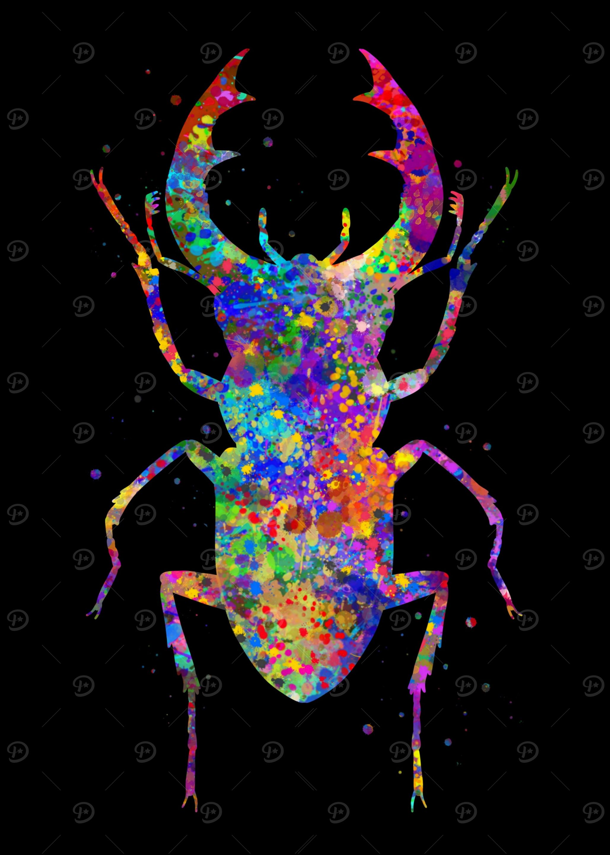Stag beetle animal