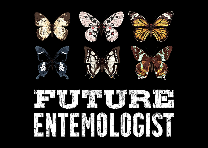 Entomologist Insect Shirt