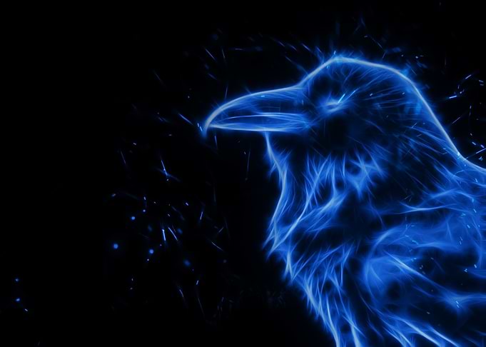 Raven