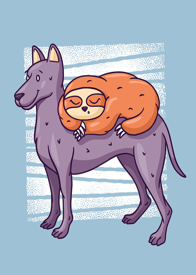 CUTE DOG SOLTH